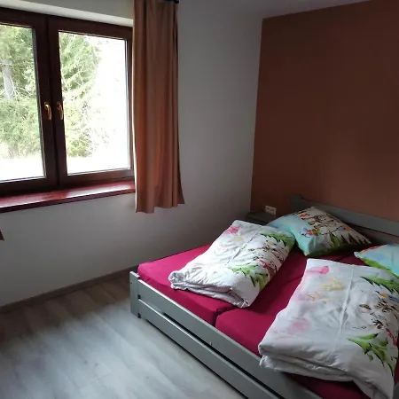 White Hawk - Sokolik